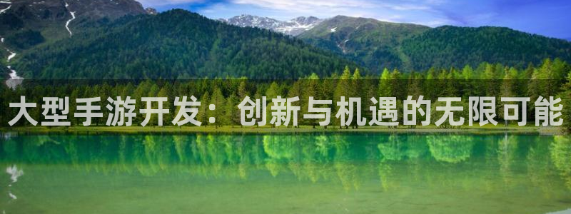 加拿大零28大神预测：大型手游开发：创新与机遇的无限可能