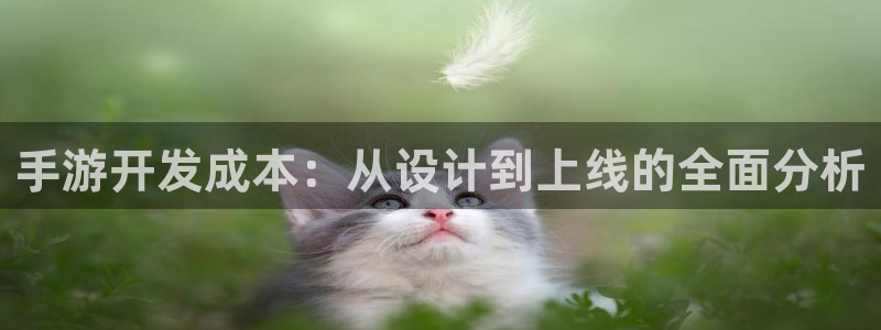 28大神怎么用不了了：手游开发成本：从设计到上线的全面分析