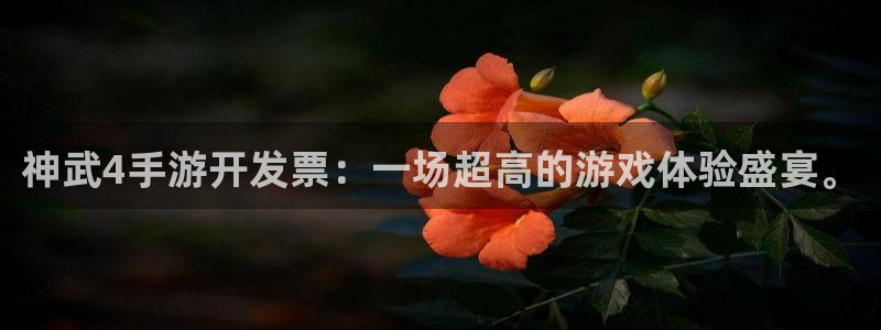 pc28大神吧预测：神武4手游开发票：一场超高的游戏体验盛宴
