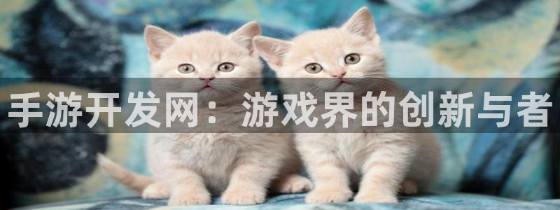 大神28开奖走势：手游开发网：游戏界的创新与者