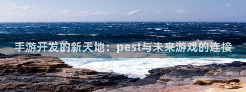 pc28大神软件客户端下载：手游开发的新天地：pest与未来