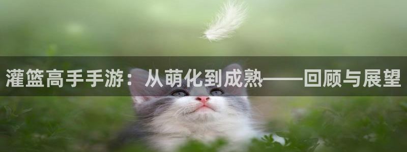 大神吧pc28软件：灌篮高手手游：从萌化到成熟——回顾与展望