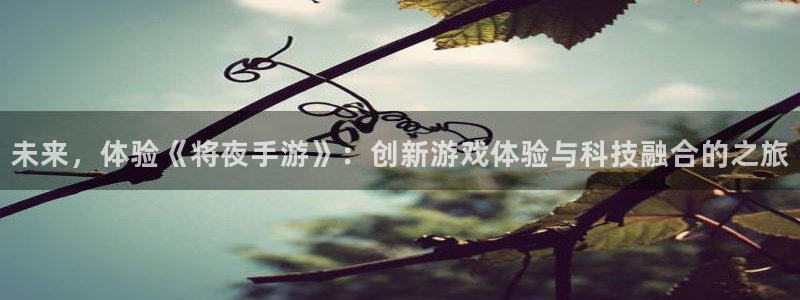 大神28加拿大在线上分：未来，体验《将夜手游》：创新游戏体验
