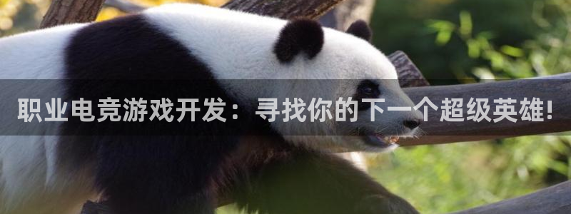 28大神怎么找不到了:职业电竞游戏开发:寻找你的下一个超级英