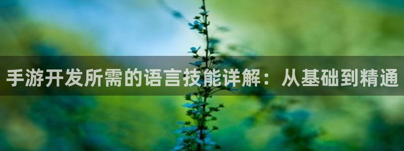 大神28手机版：手游开发所需的语言技能详解：从基础到精通