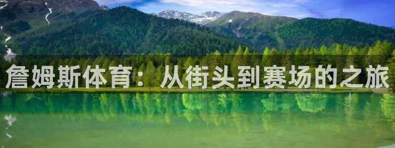 vsport体育在线官网