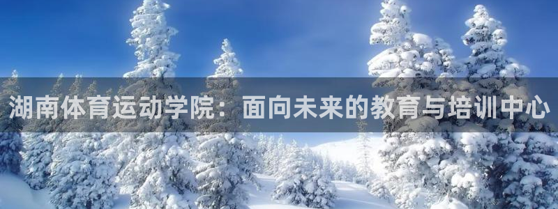 vsport体育在线官网