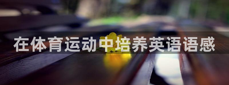 vsport体育在线官网