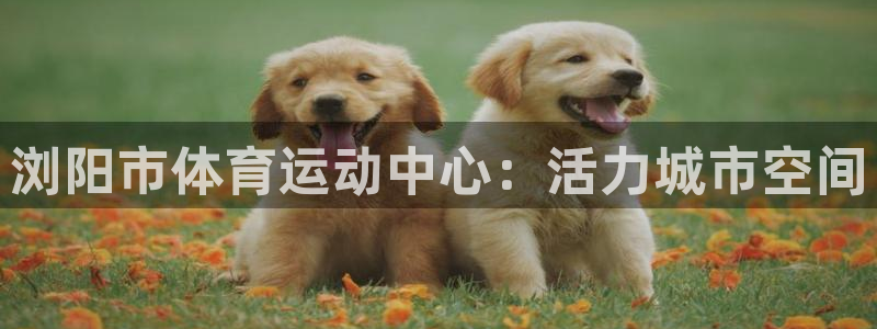 vsport体育在线官网
